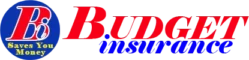 budget insurance logo