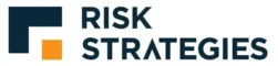 risk strategies