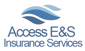 Access E&S