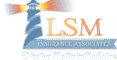 LSM branding
